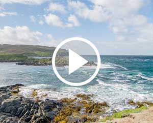 4K Nature Programming Greenlight