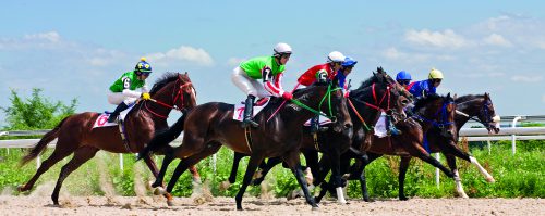 The Sport Of Kings